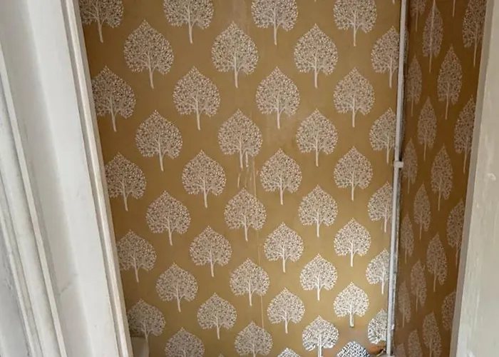 Saint Paul 02 * Бристоль